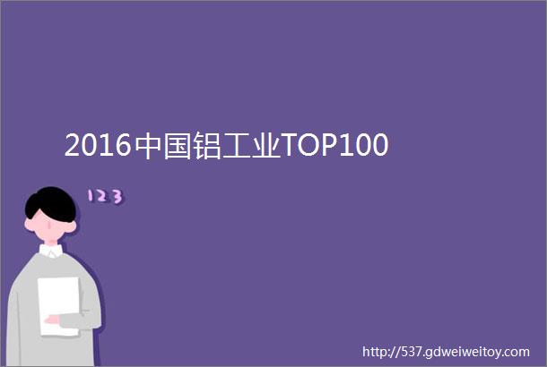 2016中国铝工业TOP100